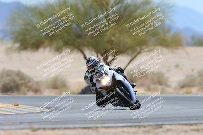 media/May-12-2024-SoCal Trackdays (Sun) [[ad755dc1f9]]/10-Turn 4 Tree of Life (1120am)/